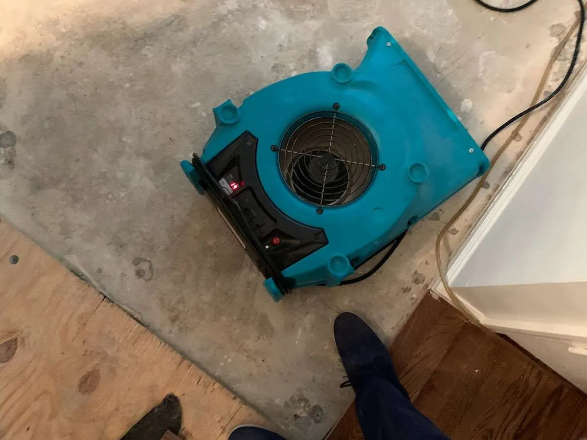 Air mover drying subfloor during Commercial Water Damage Restoration in Lawrenceburg